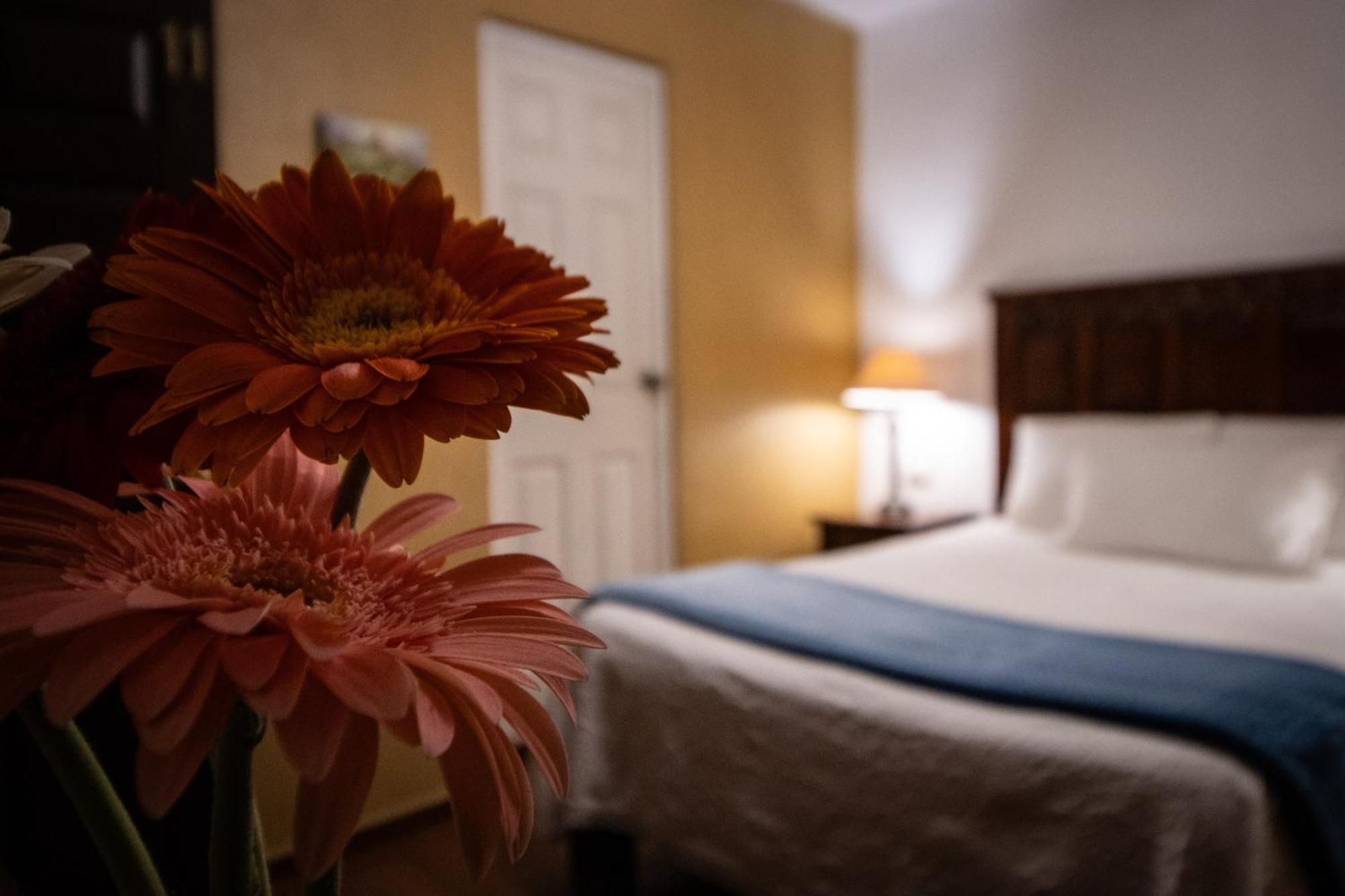 Hotel Casa San Miguel San Miguel de Allende Eksteriør bilde