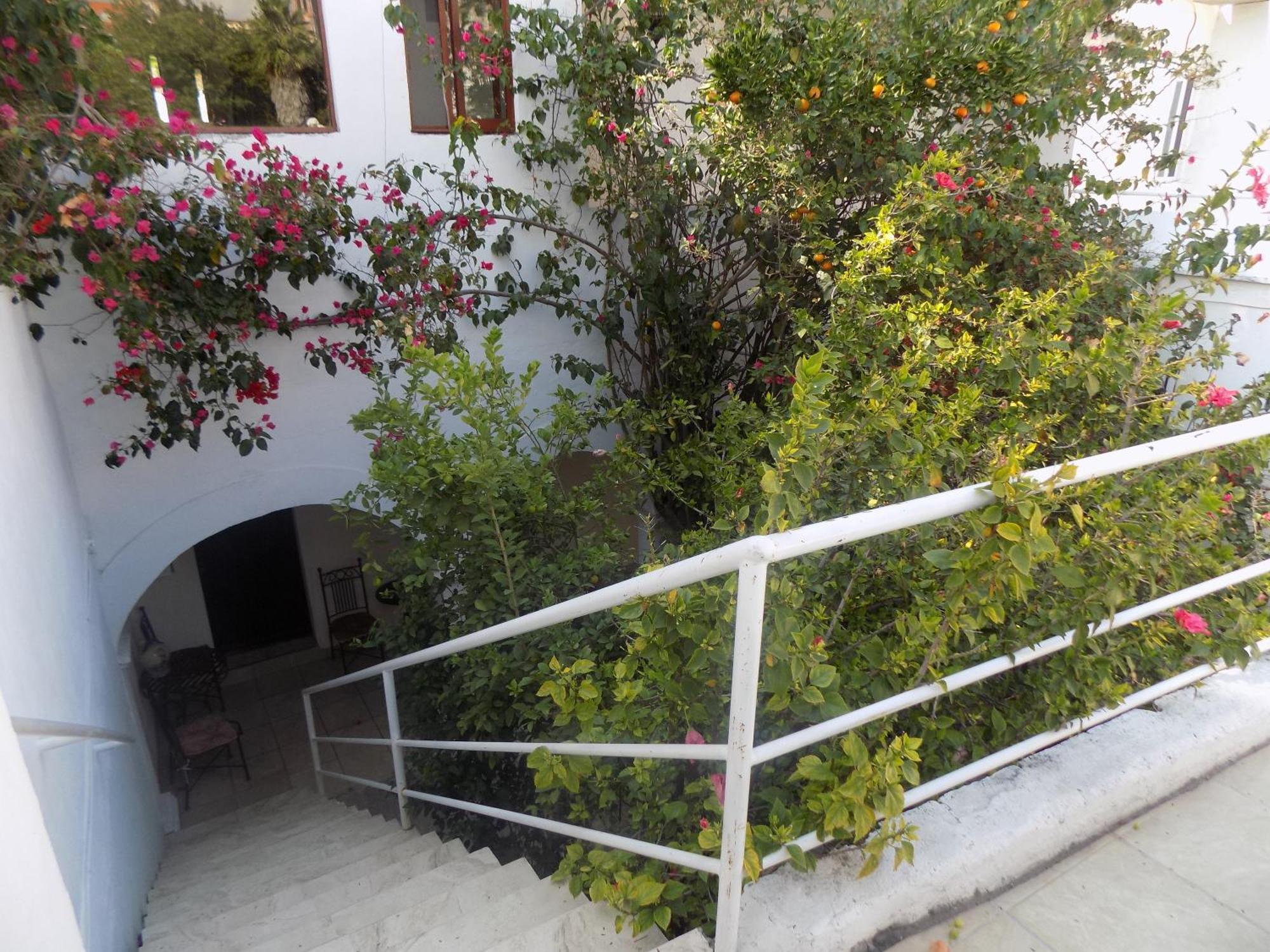 Hotel Casa San Miguel San Miguel de Allende Eksteriør bilde